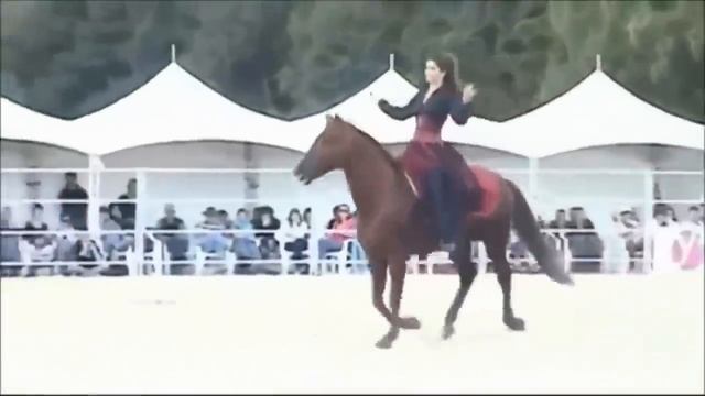 такого я ещё не видел. Лезгинка на коне!!! смотреть онлайн