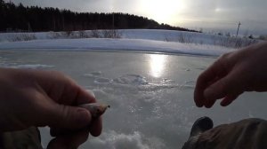 Рыбалка в верховьях Туношонки.Я удивлён...