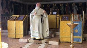 Духовные советы для ленивых.  Протоиерей Александр Торик