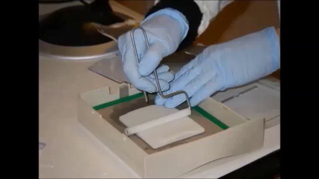 Western Blot 1 смотреть онлайн