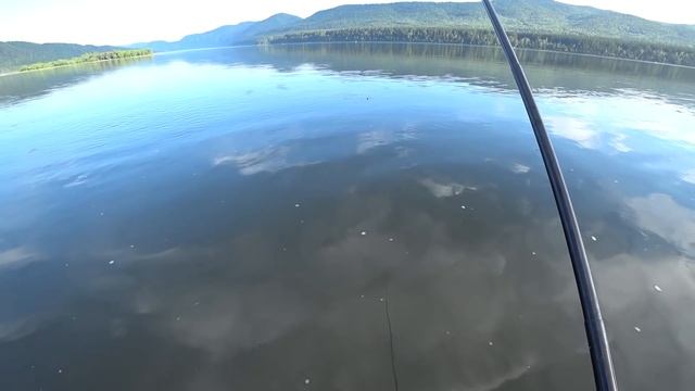 Рыбалка на ельца / Прикормка своими руками / Утренний клев смотреть онлайн