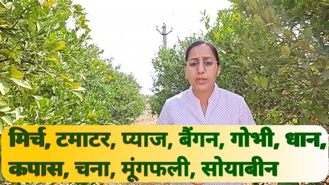 Syngenta New Insecticide 2023 |Simodis insecticide | Isocycloseram | thrips and borer control смотреть онлайн