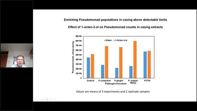 Detection and control of pathogens causing blotch and green mould in mushroom cultivation смотреть онлайн