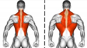 9 Упражнений для построения Широкой Спины.