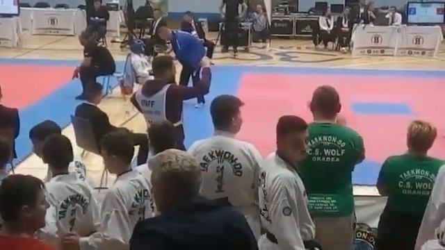 Molnar Balazs taekwondo смотреть онлайн
