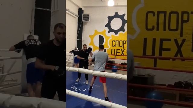 Тагиев Мухаммед Али. ВГТУ Воронеж.Работа на лапах. тренер Березкин. клуб Единоборств Спортивный Цех смотреть онлайн