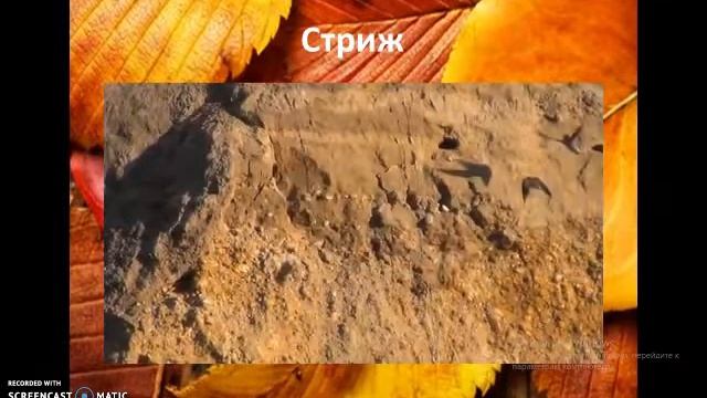 Осенние изменения 2класс