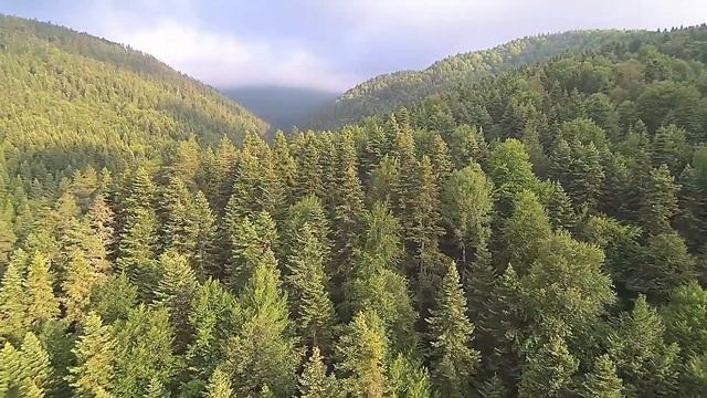 Как сердце подскажет