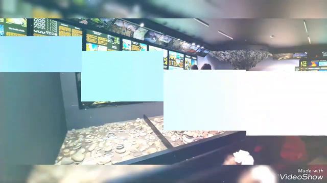 Маршрут выходного дня старшей группы "Ивушка" в Вулканариум смотреть онлайн