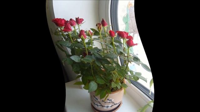 Интересные Факты и Загадки