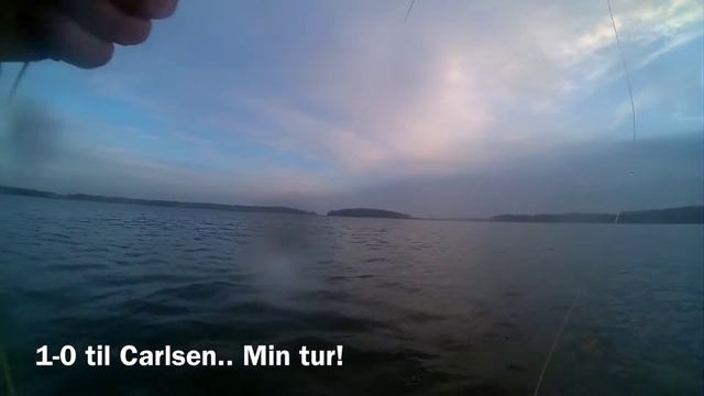 Tempelkrogen 12:2:2014 смотреть онлайн