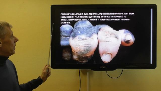 Сотворение, эволюция или инволюция? Что лучше? Александр Белов 4 января 2020 смотреть онлайн