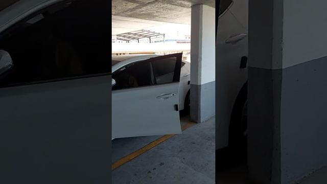 Hyundai New Avante 2014 Semi Nuevo. Impecable.