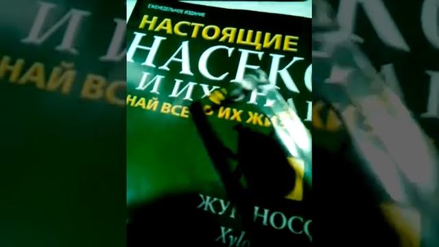 НАСЕКОМЫЕ И ИХ ЗНАКОМЫЕ#38 жук-носорог смотреть онлайн