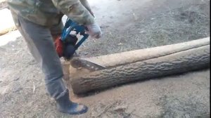 Бензопила дружба пилим в доль дуб