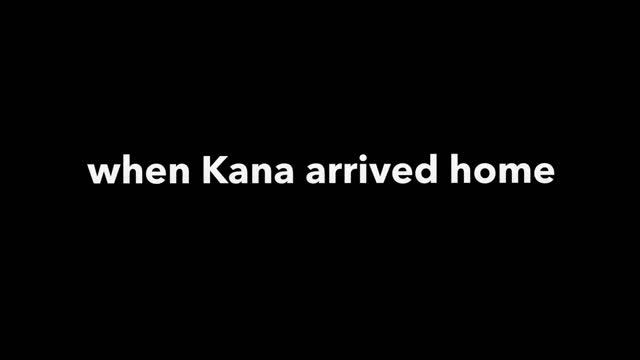 Kana from Reboot Thomas watches Angry Birds 2 Movie/Gets Suspended and Grounded смотреть онлайн