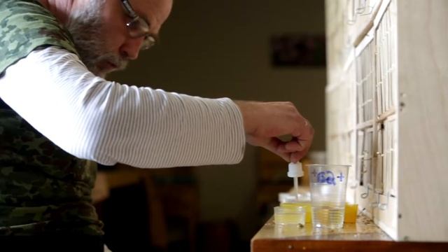 В. Якович (эксперт проекта) о кормлении вертлявой камышевки смотреть онлайн