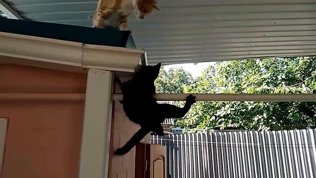 Если друг оказался вдруг смотреть онлайн