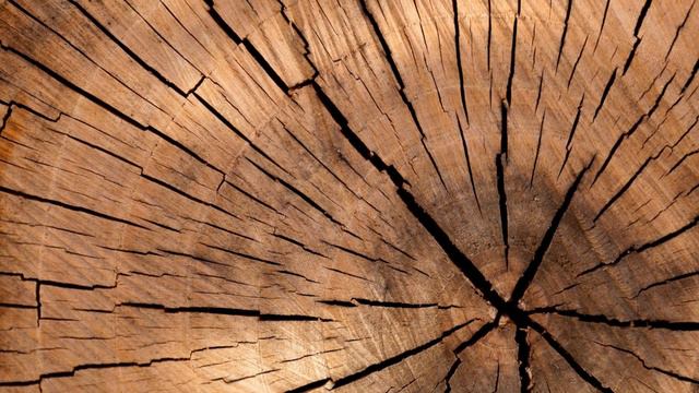 EU PIREI NESSE PERFUME DE NICHO! CHEIRO FORA DO RADAR! UM DOS MELHORES QUE JÁ SENTI! смотреть онлайн