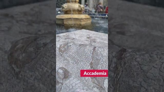 Коллекция обоев Accademia от бренда Zambaiti Parati в магазинах 