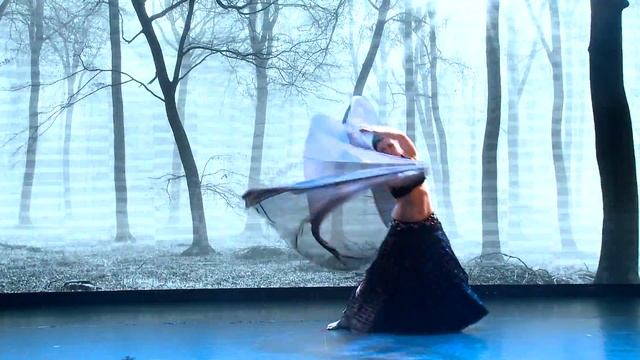 Victoria Gorchakova - tribal fusion with veil @ Tribal Universe 2015 Gala Show смотреть онлайн