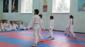 Аттестация по  каратэ-до Шотокан  8 кю  желтый пояс Олимпик