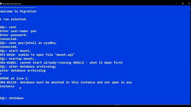 Backup and restore Oracle Database смотреть онлайн