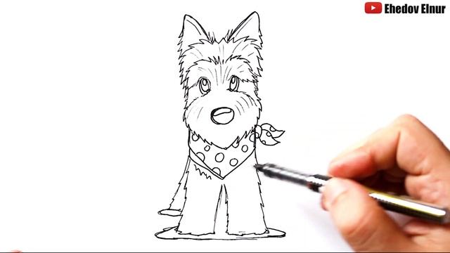 Как нарисовать Йорка | Как нарисовать собаку смотреть онлайн
