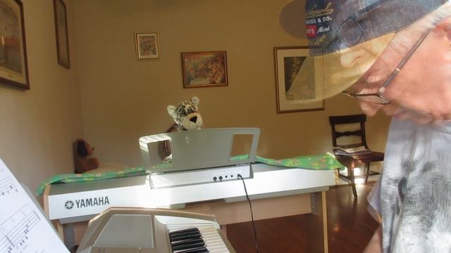 Wildwood Flower. Yamaha DGX-505 Digital Piano. Elec Piano Voice. смотреть онлайн