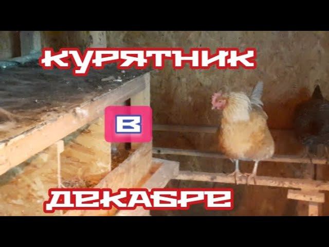 всё о моём курятнике.. смотреть онлайн