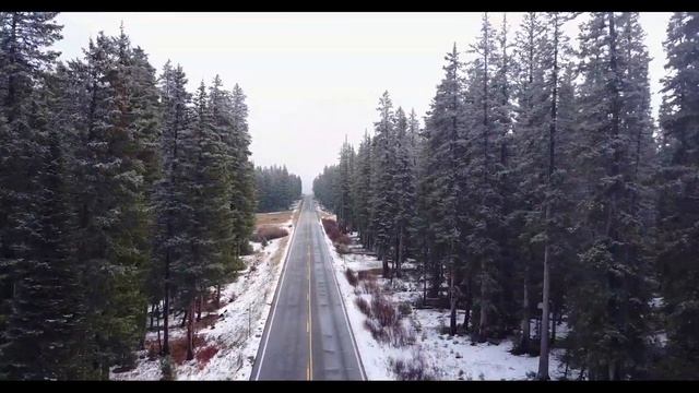 ТЕСТОВОЕ ВИДЕО 4К 2160 60fps для проекторов мониторов и телевизоров КРАСИВЫЕ КРАСКИ ПРИРОДЫ