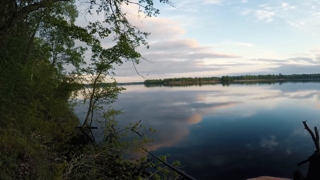 Охота на шереспера. Жерех весной на спиннинг смотреть онлайн