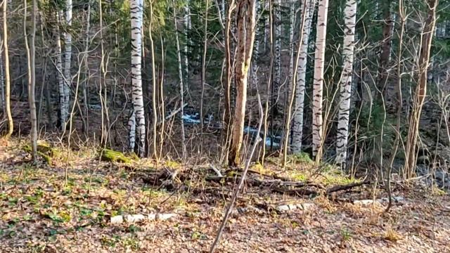 Поход на Красные скалы через хребет Аджигардак. 4 ноября 2020 г. смотреть онлайн