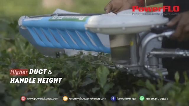 PowerFLO Single Man Tea Leaf Harvester or Plucker смотреть онлайн