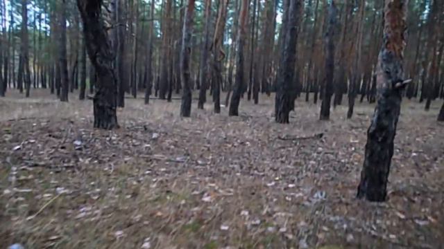 GRANDENIKO ЖИВЁТ В СТАЛИНКЕ. САМВЕЛ ИЗБЕГАЕТ ВОПРОСОВ ПРО ЮЛЮ