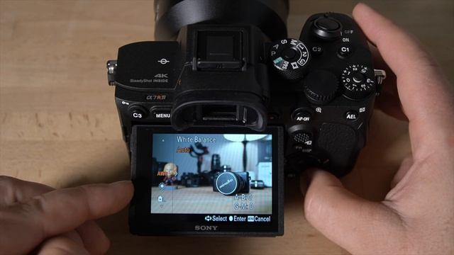 Sony A7R IV - Beginners Guide - How-to Set-up and Use the Camera For New Users... смотреть онлайн