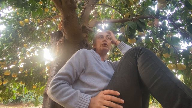 От ничтожности к грандиозности и мании. Проработка смотреть онлайн