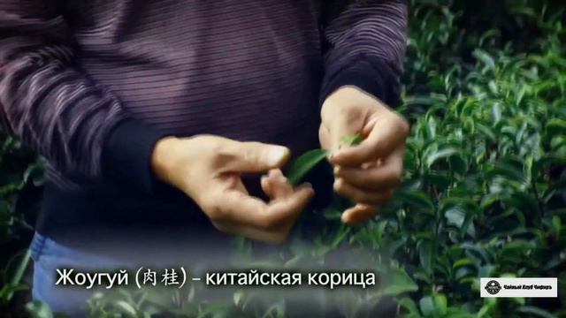 История Красного ХАЛАТА! смотреть онлайн