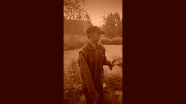 В память о Юре Шатунове я сходил на рыбалку и наловил карпов а Юрий однажды поймал белугу на 32кг смотреть онлайн