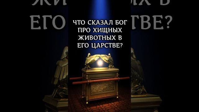Что сказал Бог про хищных животных в Его Царстве? Исаия 11:6-7 #библия #хищник #хищники #shorts смотреть онлайн