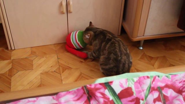Кроля и толстая кошка. смотреть онлайн