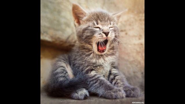 Лямзик смотреть онлайн