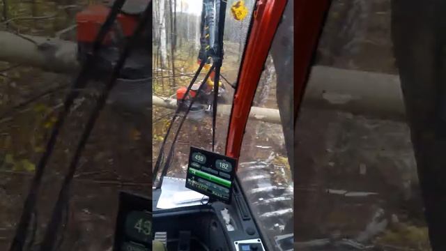 Харвестер Kamatsu 931 в работе смотреть онлайн