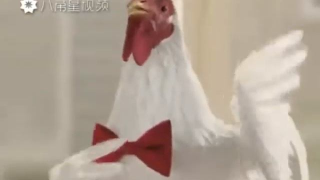 Послушайте как хорошо поют птицы