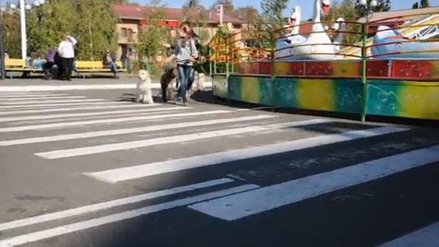 Dolce Dea Apriori- Kennel dogs(племенной питомник собак) смотреть онлайн