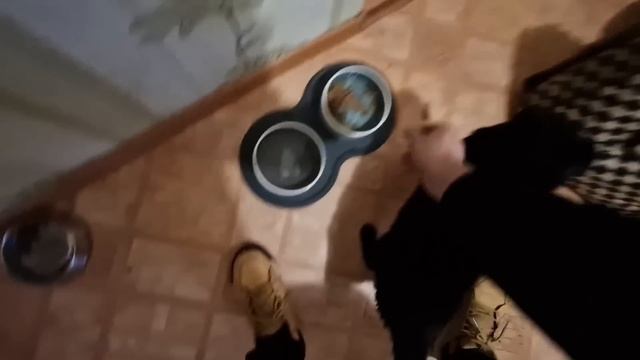 Где ПОСЕЛИЛАСЬ НАДЯ РАЗБОР ПРОДУКТОВ смотреть онлайн