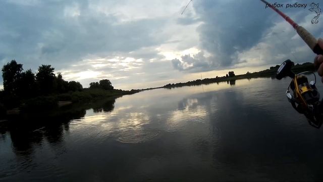 Съездил на вечерок на сомика! А что с этого получилось? Город Советск Калининградская область. смотреть онлайн