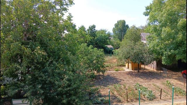 Поездка в лето 20240625