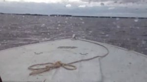 Прогресс 2 30 л.с.