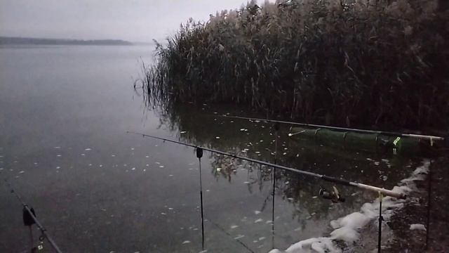 Наша рыбалка,улов на сковородку! смотреть онлайн